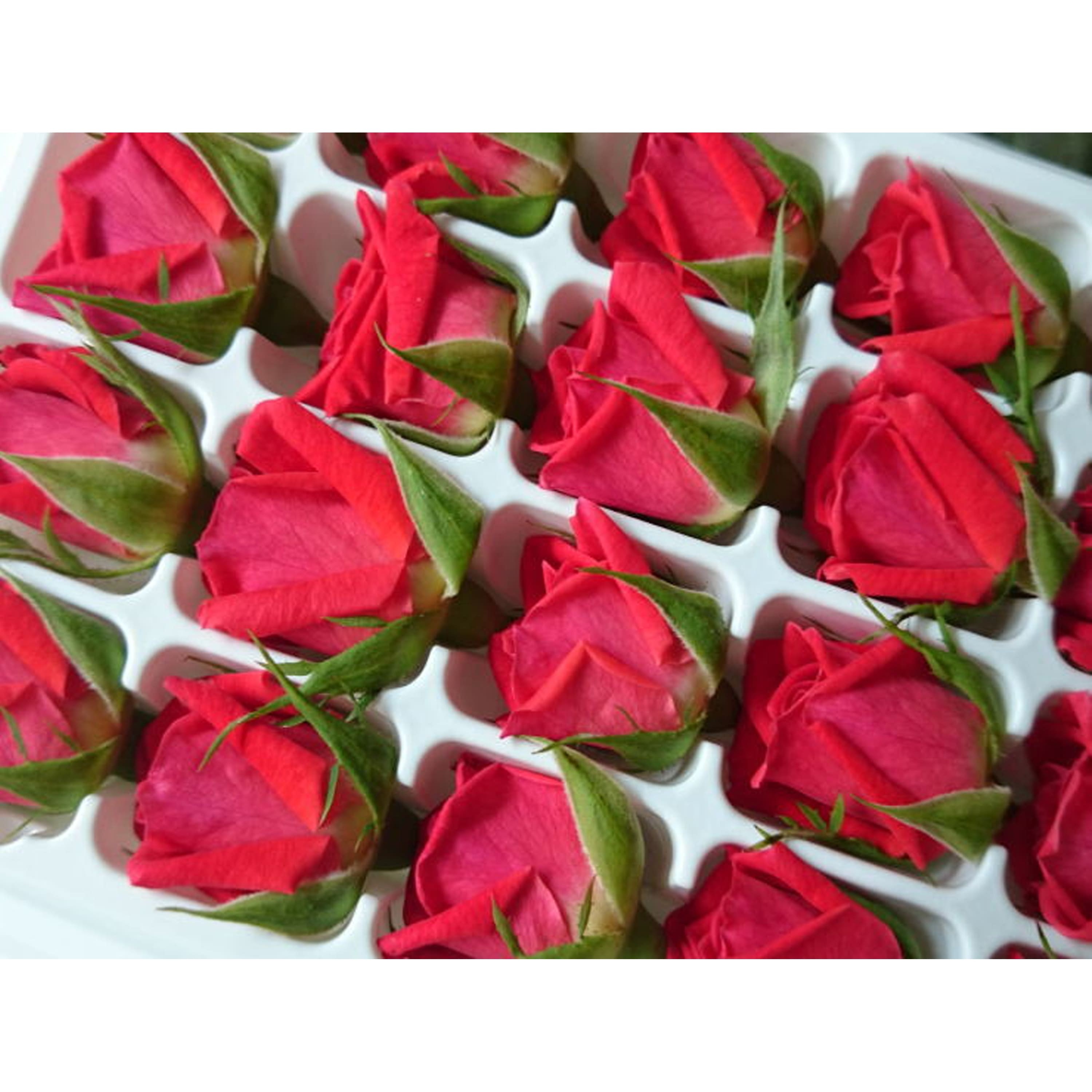 食用玫瑰花 (紅色)